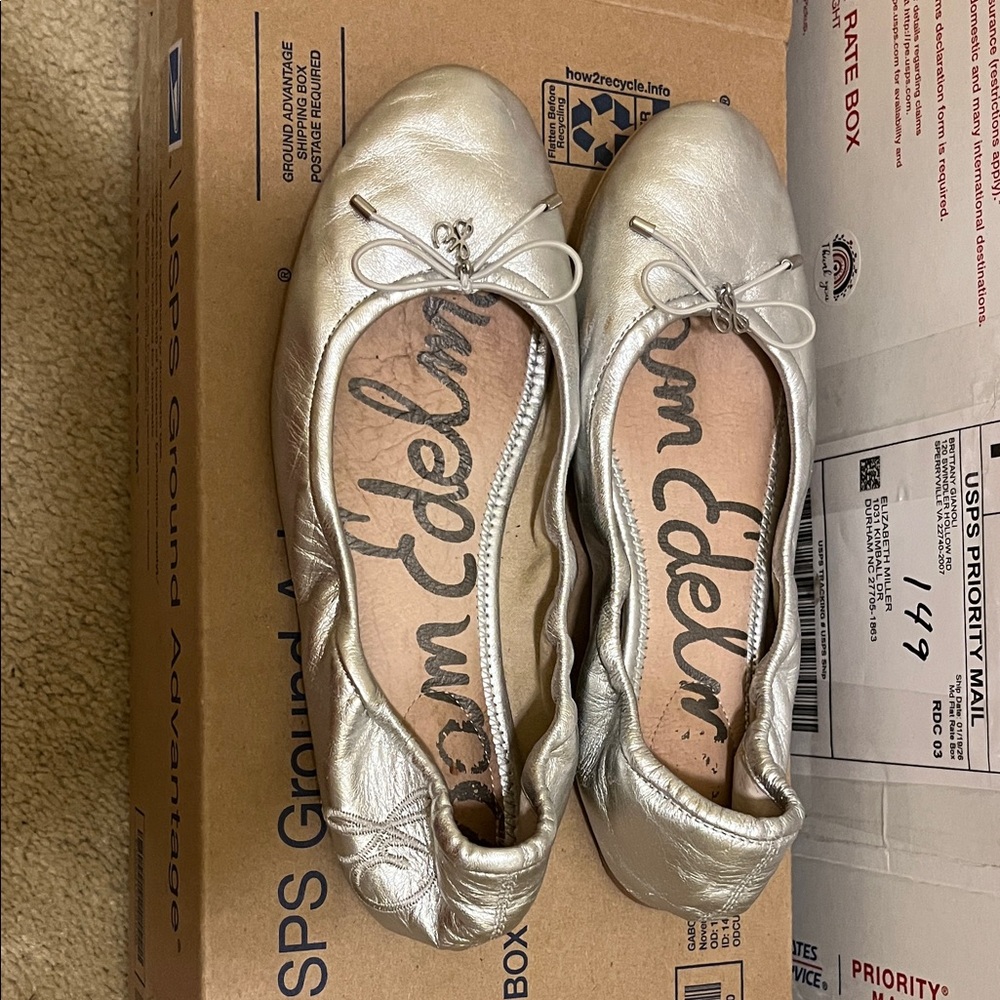 Sam Edelman Metallic Silver Flats